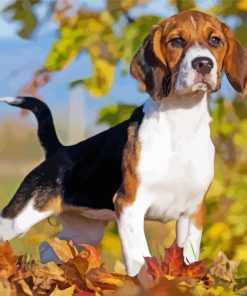 Beagle Dog Fall Leaves paint by numbers