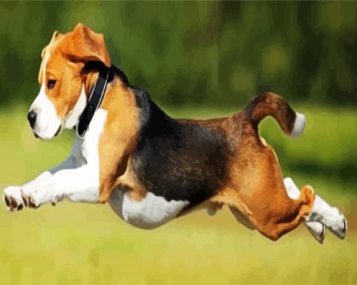 Beagle Running paint by numbers