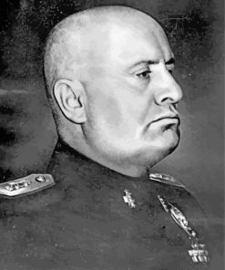 Benito Mussolini Side Profile paint by numbers