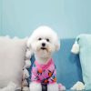 Bichon Wearing Pajamas paint by numbers