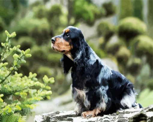 Black English Cocker Spaniel paint by number
