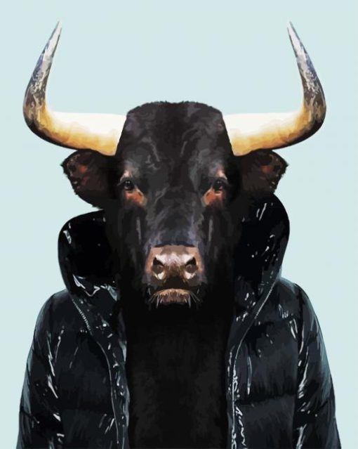 Black Bull Wearing A Jacket paint by numbers