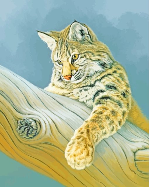 Bobcat On Tree paint by numbers