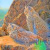 Bobcats Animals paint by numbers