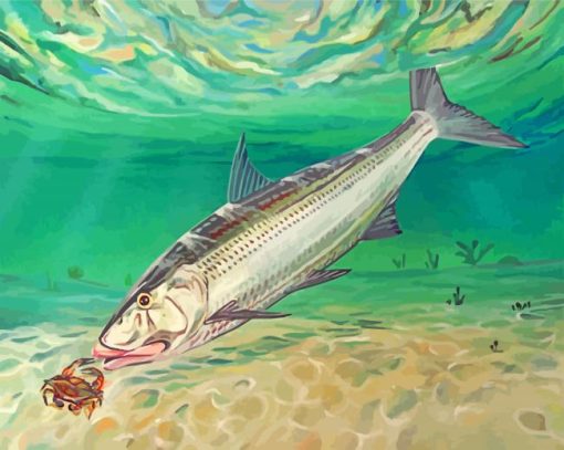 Bonefish eating Crabs paint by number