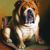 Brown Bulldog paint by numbers