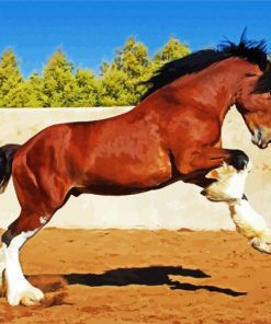 Brown Clydesdale paint by numbers
