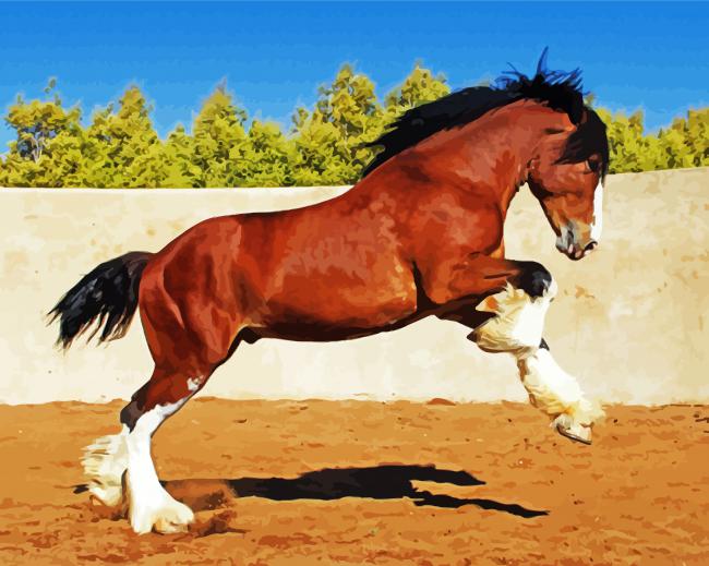 Brown Clydesdale paint by numbers