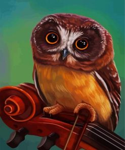 Brown Owl paint by numbers