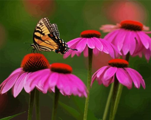 Butterfly And Purple Coneflower paint by number
