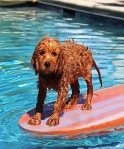 Cavapoo Swimming Pool paint by number