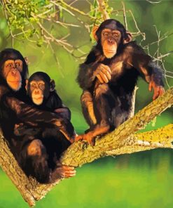 Chimpanzee Family paint by number