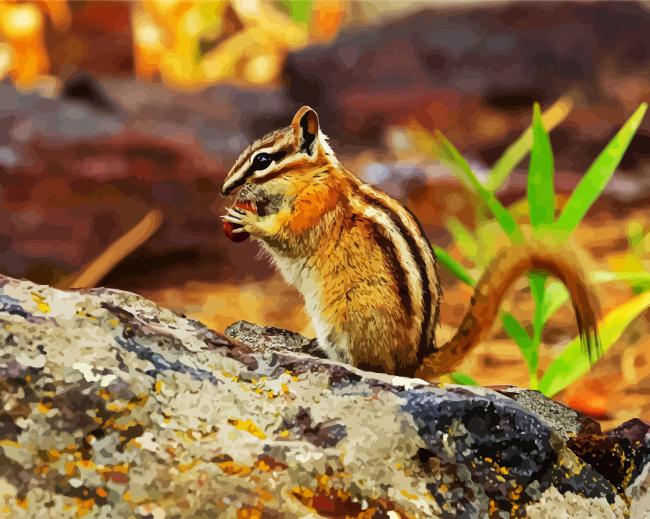 Chipmunk Eating paint by number