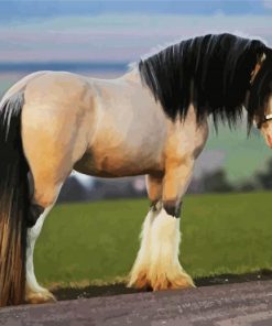 Clydesdale paint by numbers