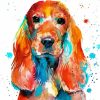 Colorful English Cocker Spaniel paint by numbers