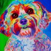 Colorful Cockapoo paint by numbers