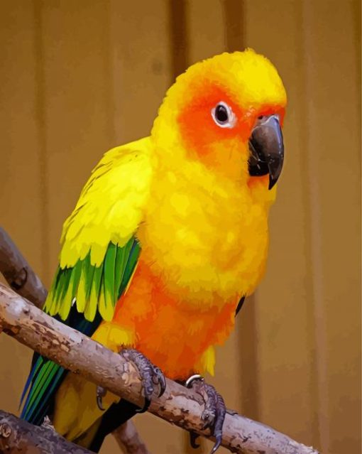 Conure Yellow Bird paint by numbers
