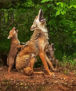 Coyote Howling Lesson paint by numbers