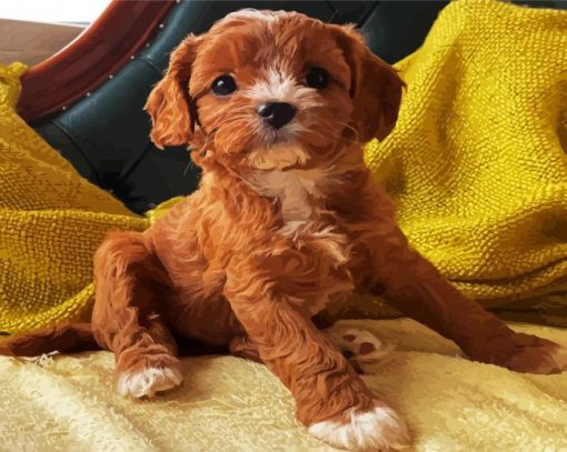 Cute Cavoodle paint by number
