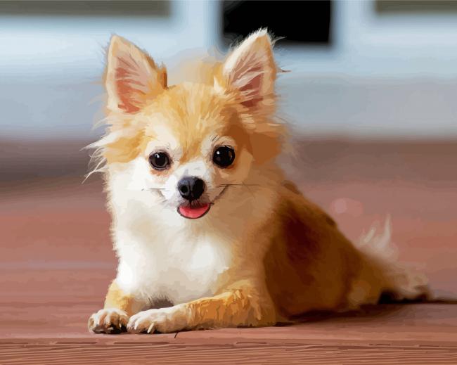 Cute Chihuahua paint by number