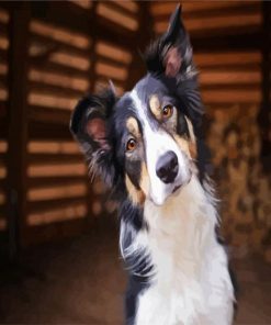 Cute Collie Puppy paint by numbers