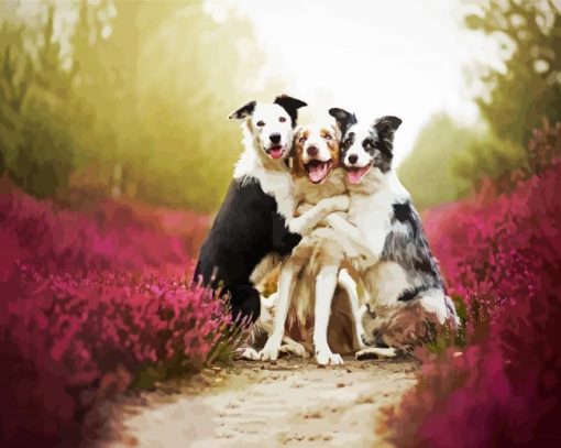 Cute Collies paint by numbers