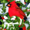 Cute Red Cardinal paint by number