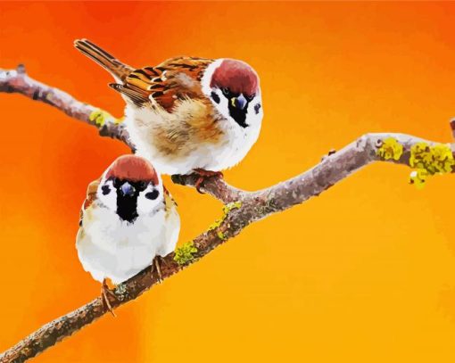 Cute Sparrows paint by number