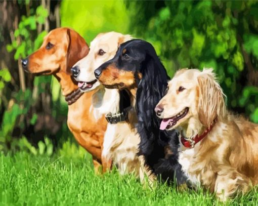 Dachshunds Dogs Animals paint by number