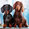 Dachshunds Puppies paint by numbers