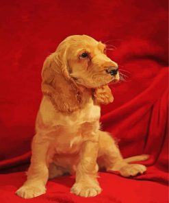 English Cocker Spaniel paint by number