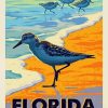 Florida Sea Birds paint by number