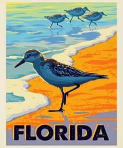 Florida Sea Birds paint by number