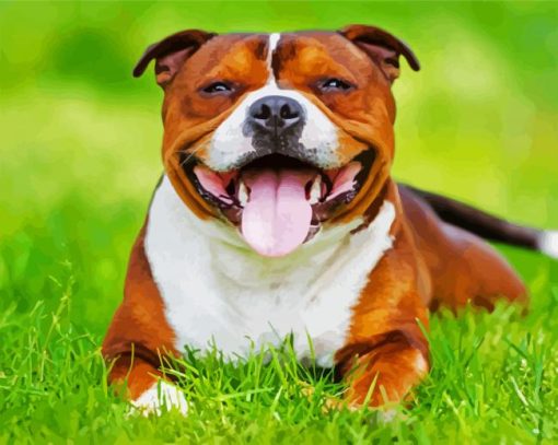 Happy Brown Staffordshire Bull Terrier paint by numbers