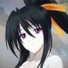 High School Dxd Akeno paint by numbers