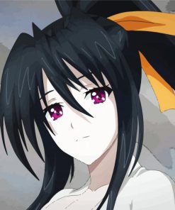 High School Dxd Akeno paint by numbers
