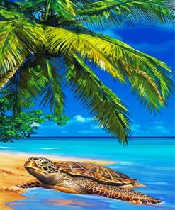 Island Sea Turtle paint by numbers