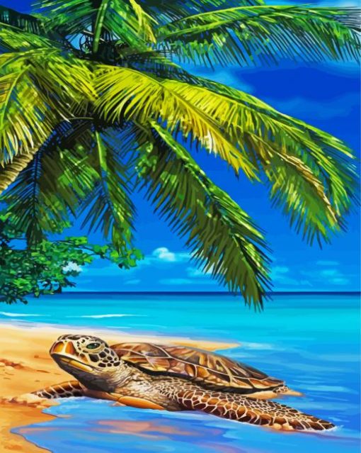 Island Sea Turtle paint by numbers