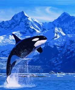 Killer Whale paint by number