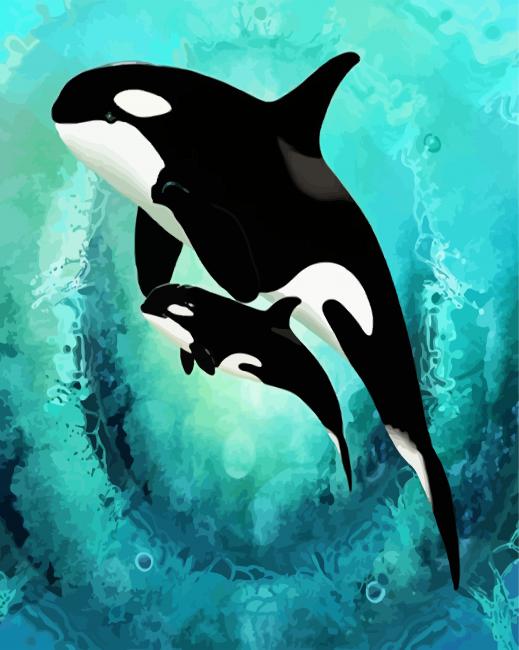 Killer Whale Fish paint by numbers