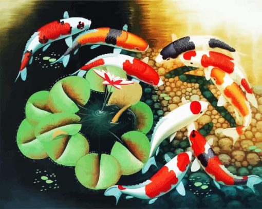 Koi Carp Fish paint by number