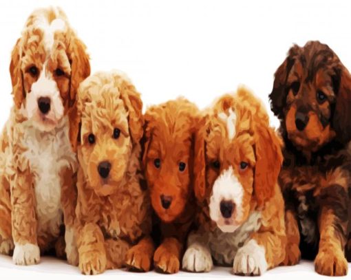 Labradoodle Puppies paint by numbers