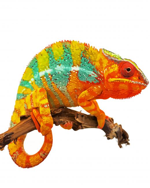 Orange Chameleon paint by numbers
