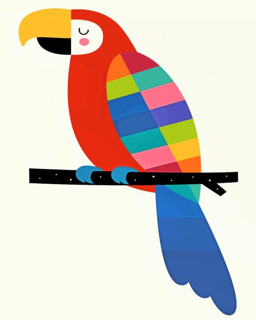 Parrot paint by numbers