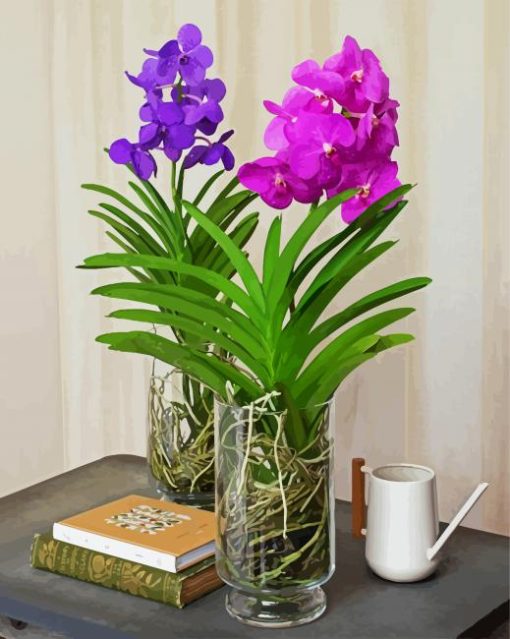 Purple And Pink Vanda Flowers paint by number