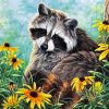Racoon Animal paint by numbers