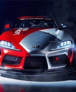 Red And Grey Supra paint by numbers