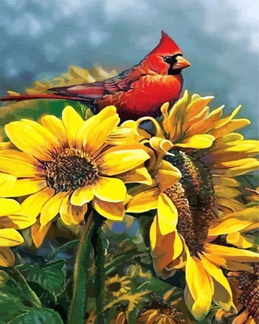 Red Cardinal On Sunflowers paint by number