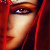 Arabian Lady With Red Eye paint by numbers