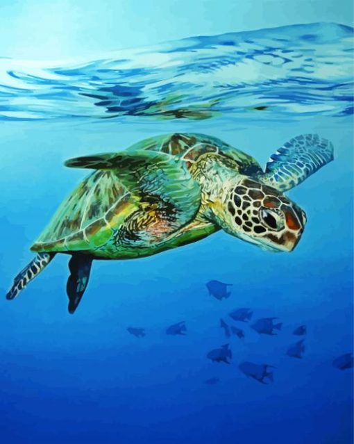 Sea Turtle Swimming In The Water paint by numbers